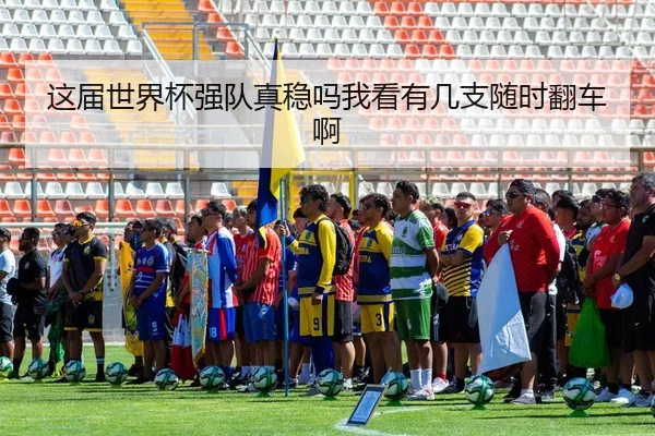 这届世界杯强队真稳吗我看有几支随时翻车啊